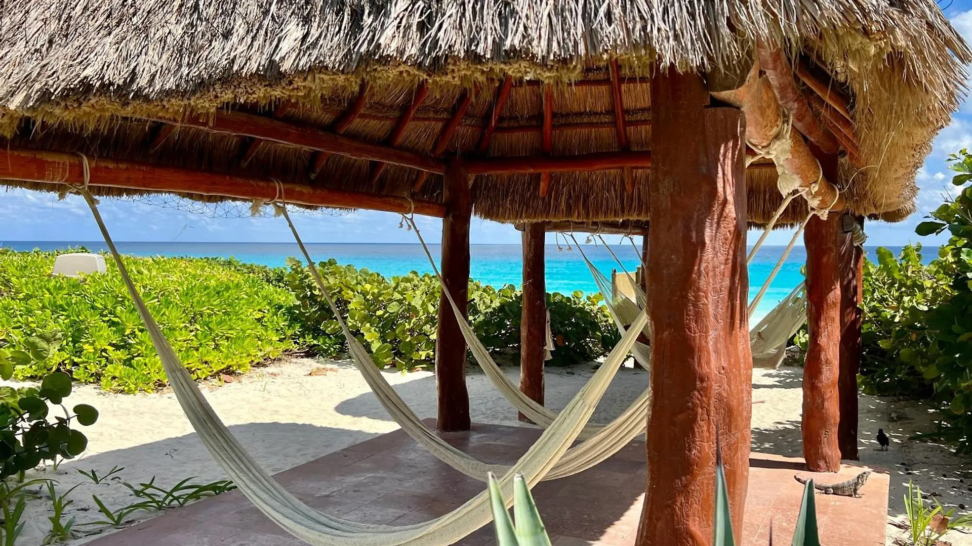 Luna, 2 Beds En La Mejor Ubicacion De Cancún 4*,